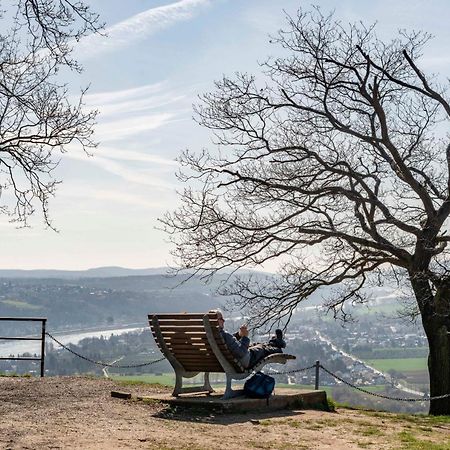 Studio-Loft Siebengebirge Westerwald Erpel Eksteriør bilde